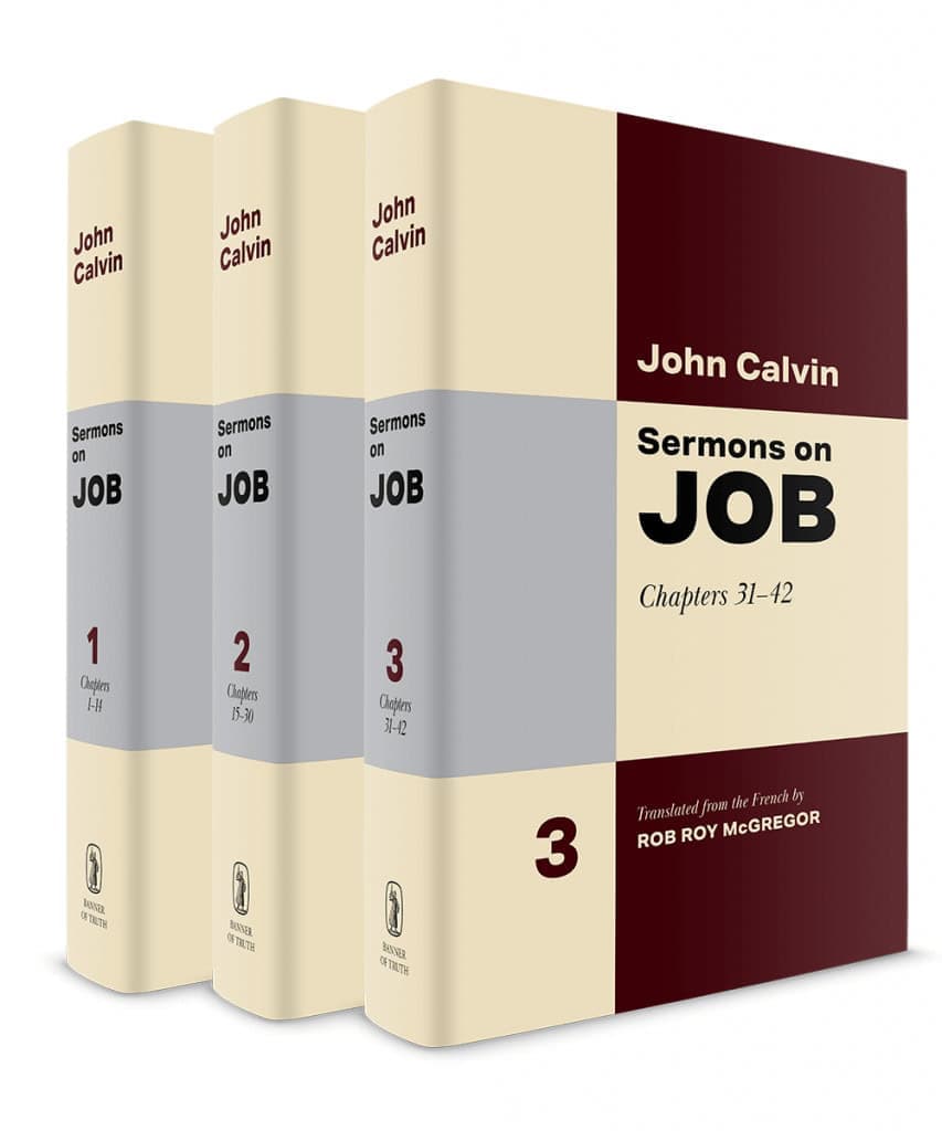 Cover of Sermons on Job